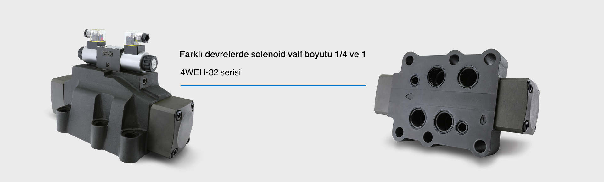 HED8OA350 hidrolik Rexroot tasarım basınç şalteri